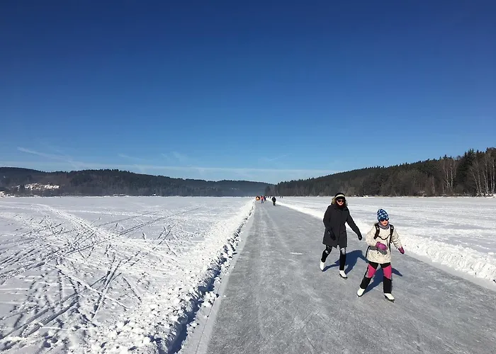Jbx Lipno 아파트 리프노나드비타보브